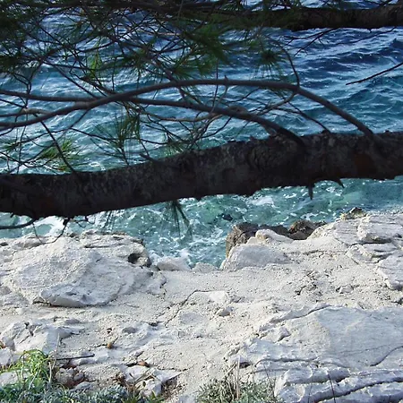 Seaside With A Swimming Pool Pomena, Mljet - 22317 Apartment