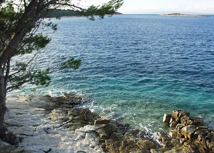 Family-friendly With Swimming Pool Pomena, Mljet - 22317